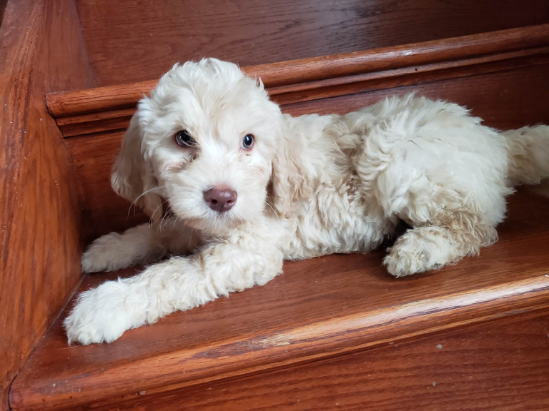 318780803 514814177287418 7148060793989488622 n 1 768x576