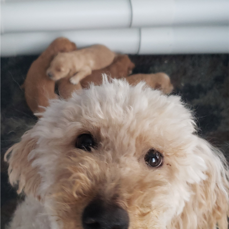 Untitled 1 03 768x767