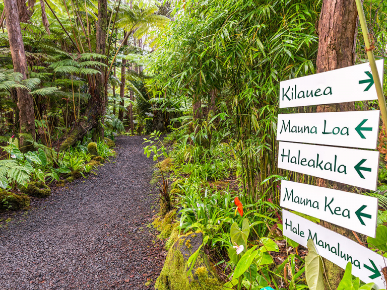 Pink Pages Volcano Village Lodge 2 1 768x576