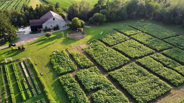 Farm OverheadView 2023 768x432
