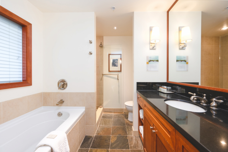 PPWHV Suite 1Bed Bath SM 4412 6 Web 768x512