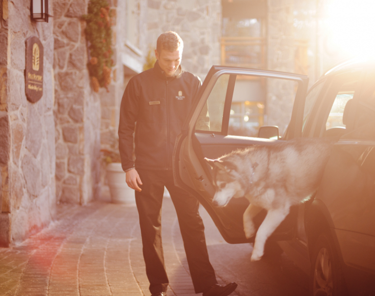 PPWVC ConciergeDog HK1032 Web 768x606