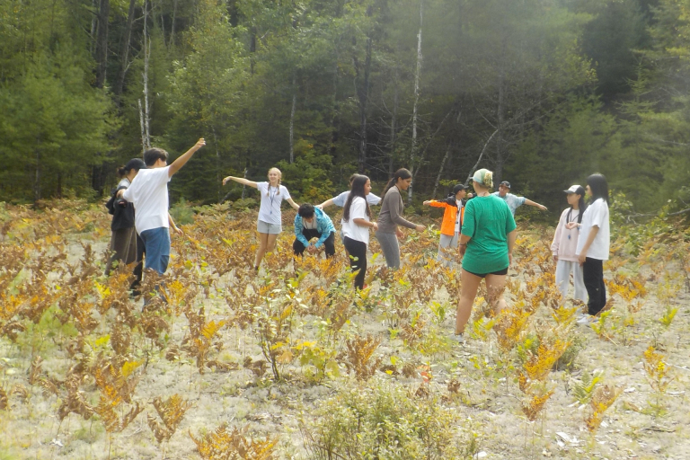 The Pink Pages OBC Images 06 768x512