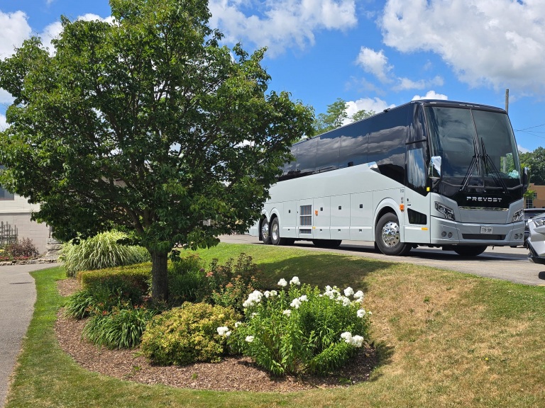 2934169534935808053 768x576