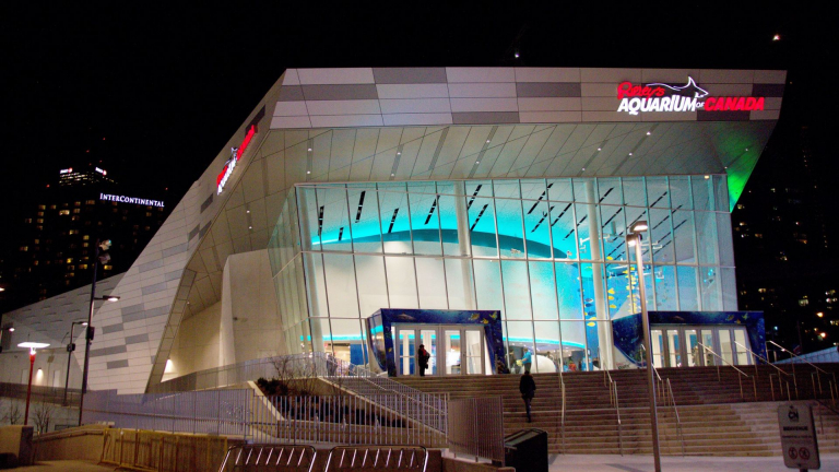 RAC Exterior 768x432