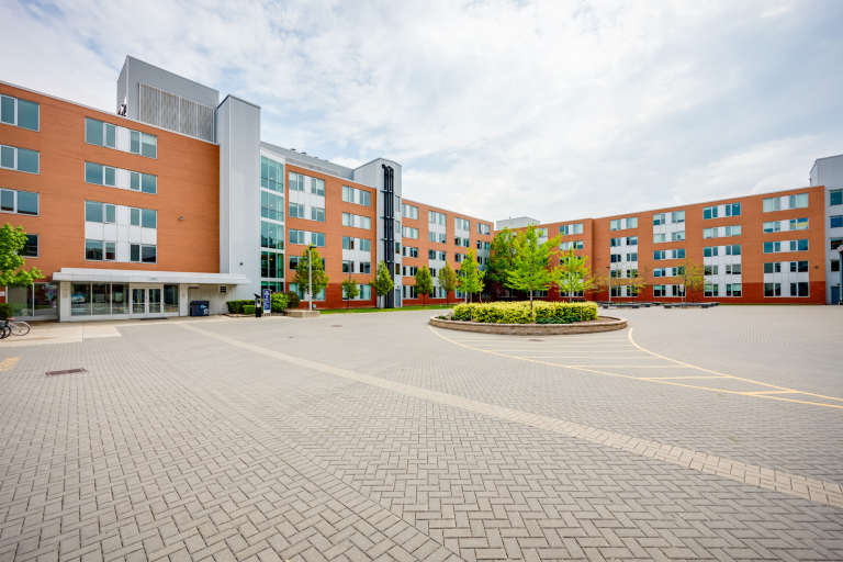 WebRes IMG 73880 524 768x512