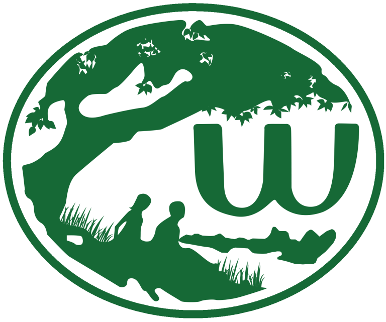 WALDEN 2014 OFFICIAL LOGO oval 768x641